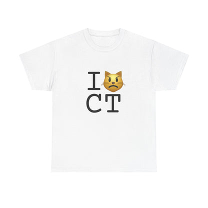 "I'm a Pouting Cat about Connecticut" Tee