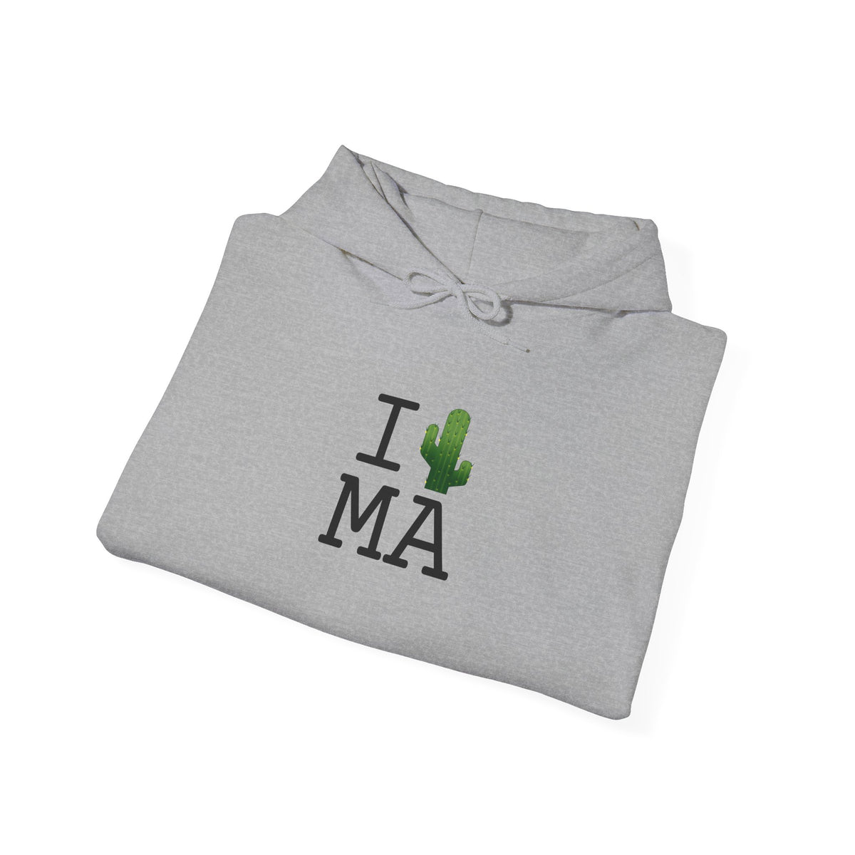 "I Cactus Massachusetts" Hoodie