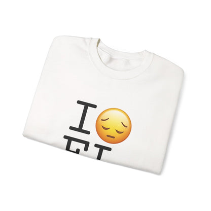 "I'm Depressed about Florida" Sweatshirt