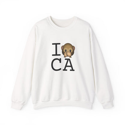 "I Don't Speak about California" Sweatshirt