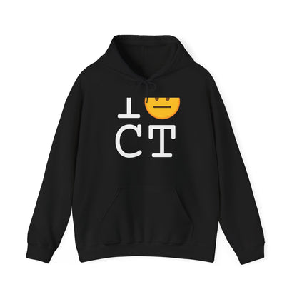 "I'm Neutral about Connecticut" Hoodie