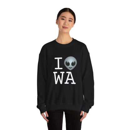 "I Feel Alien in Washington" Sweatshirt