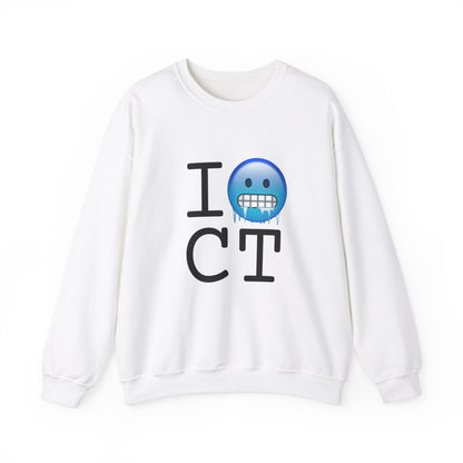"I'm Cold in Connecticut" Sweatshirt