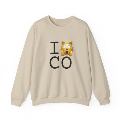 "I'm a Scaredy Cat about Colorado" Sweatshirt