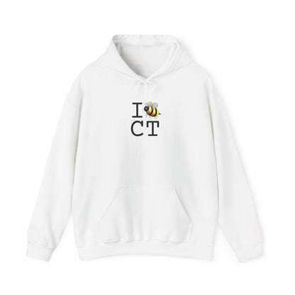 "I Bee in Connecticut" Hoodie