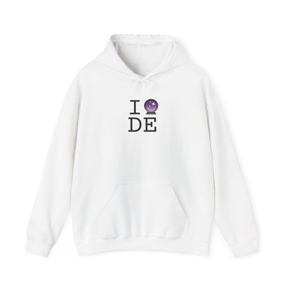 "I Predict the Future (Crystal Ball) of Delaware" Hoodie