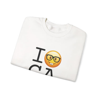 "I'm a Nerd about Georgia" Sweatshirt