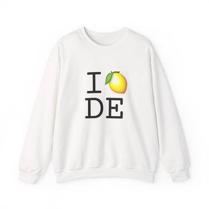 "I Lemon Delaware" Sweatshirt