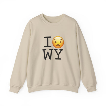 "I'm Anguished about Wyoming" Sweatshirt