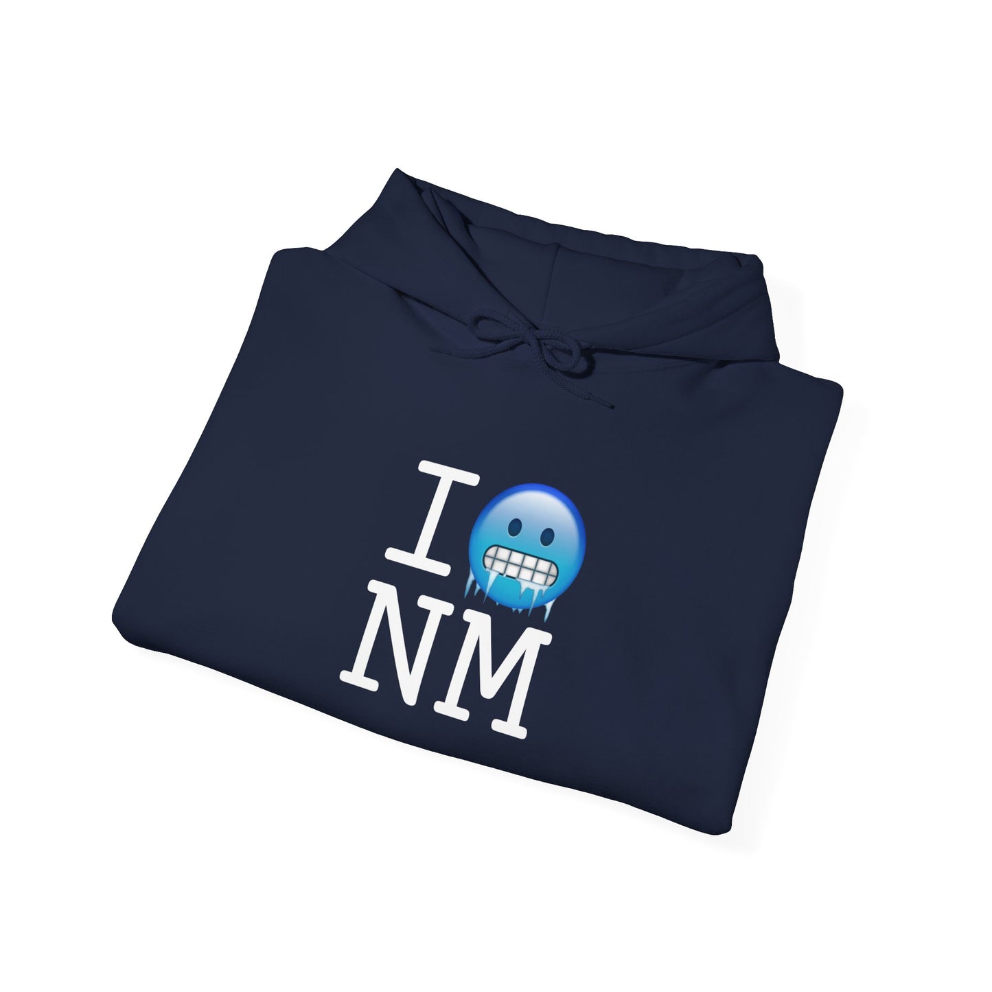 "I'm Cold in New Mexico" Hoodie