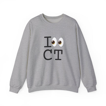 "I Look at Connecticut" Sweatshirt