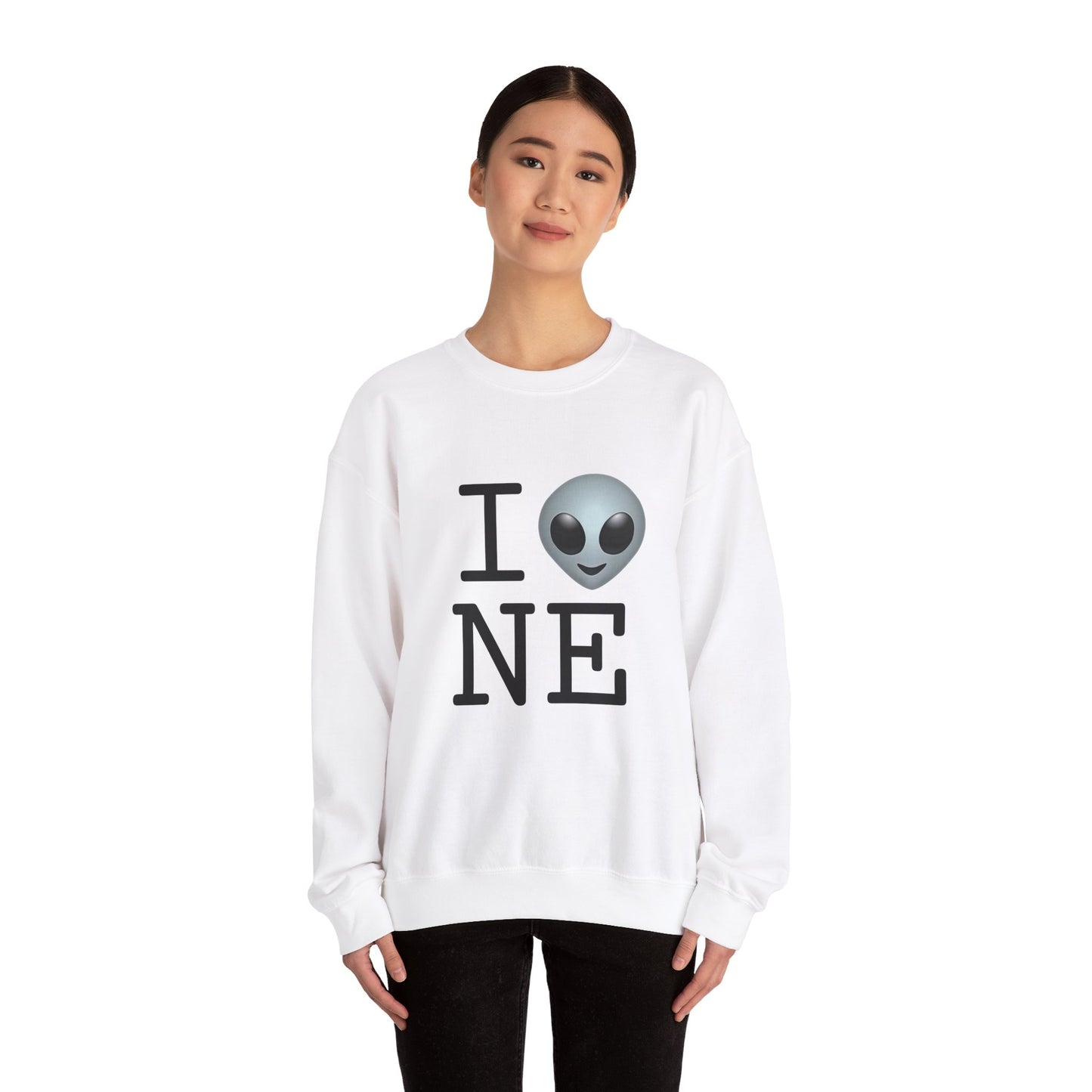 "I Feel Alien in Nebraska" Sweatshirt