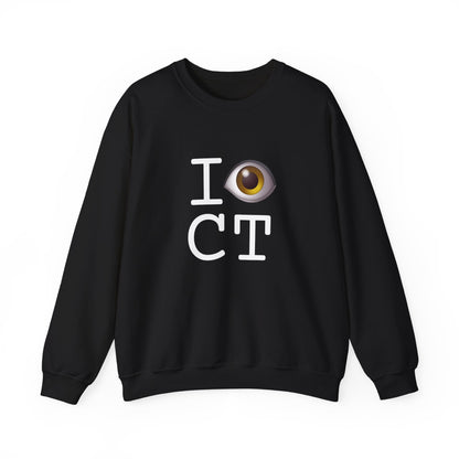"I See (Eye) Connecticut" Sweatshirt