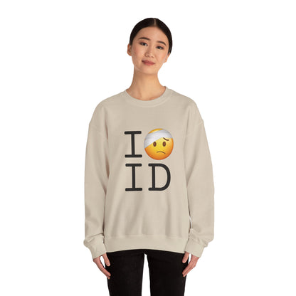 "I'm Hurt in Idaho" Sweatshirt