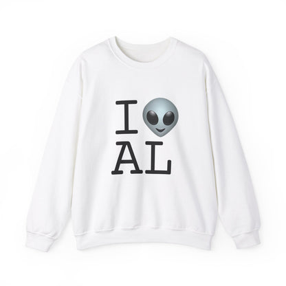 "I Feel Alien in Alabama" Sweatshirt