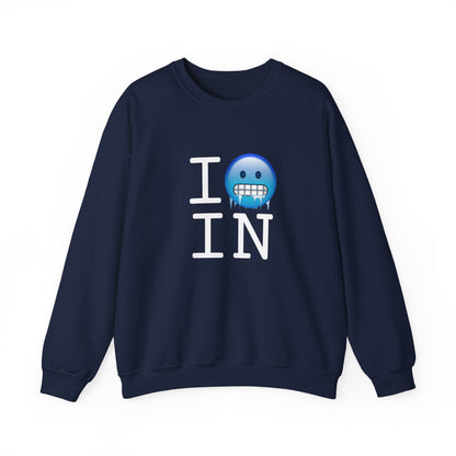 "I'm Cold in Indiana" Sweatshirt