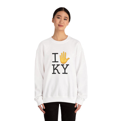 "I Stop (Raised Hand) Kentucky" Sweatshirt
