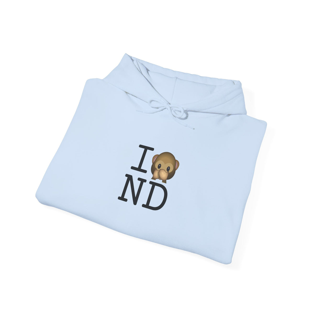 "I Don't Speak about North Dakota" Hoodie