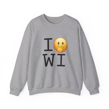 "I Messed Up (Oops) in Wisconsin" Sweatshirt