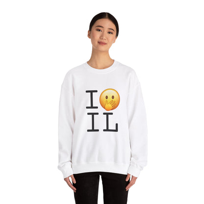 "I Messed Up (Oops) in Illinois" Sweatshirt