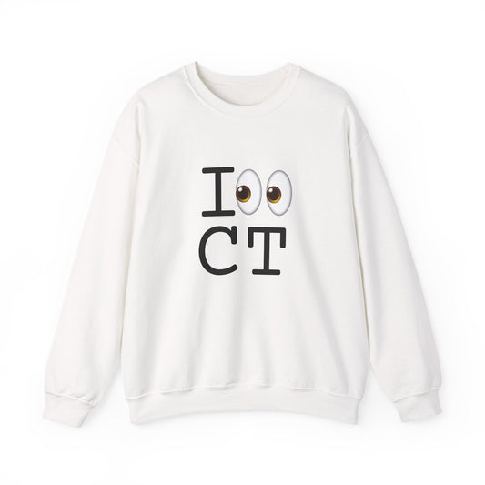 "I Look at Connecticut" Sweatshirt