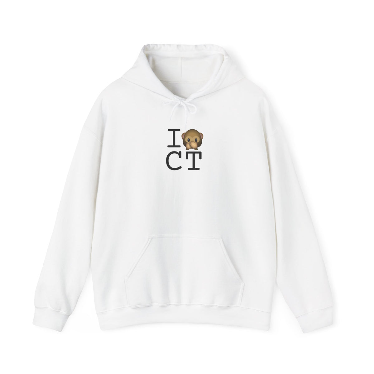"I Don't Speak about Connecticut" Hoodie