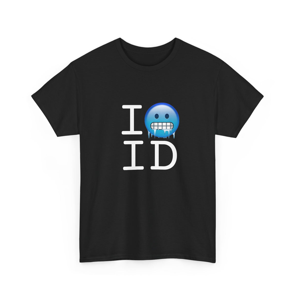 "I'm Cold in Idaho" Tee