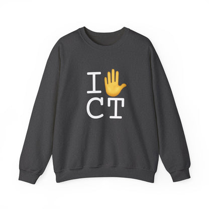 "I Stop (Raised Hand) Connecticut" Sweatshirt
