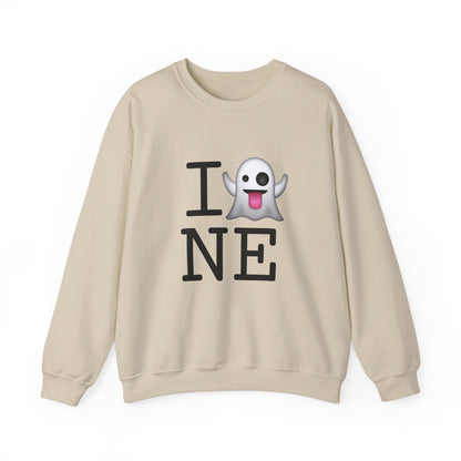 "I'm Ghosting Nebraska" Sweatshirt