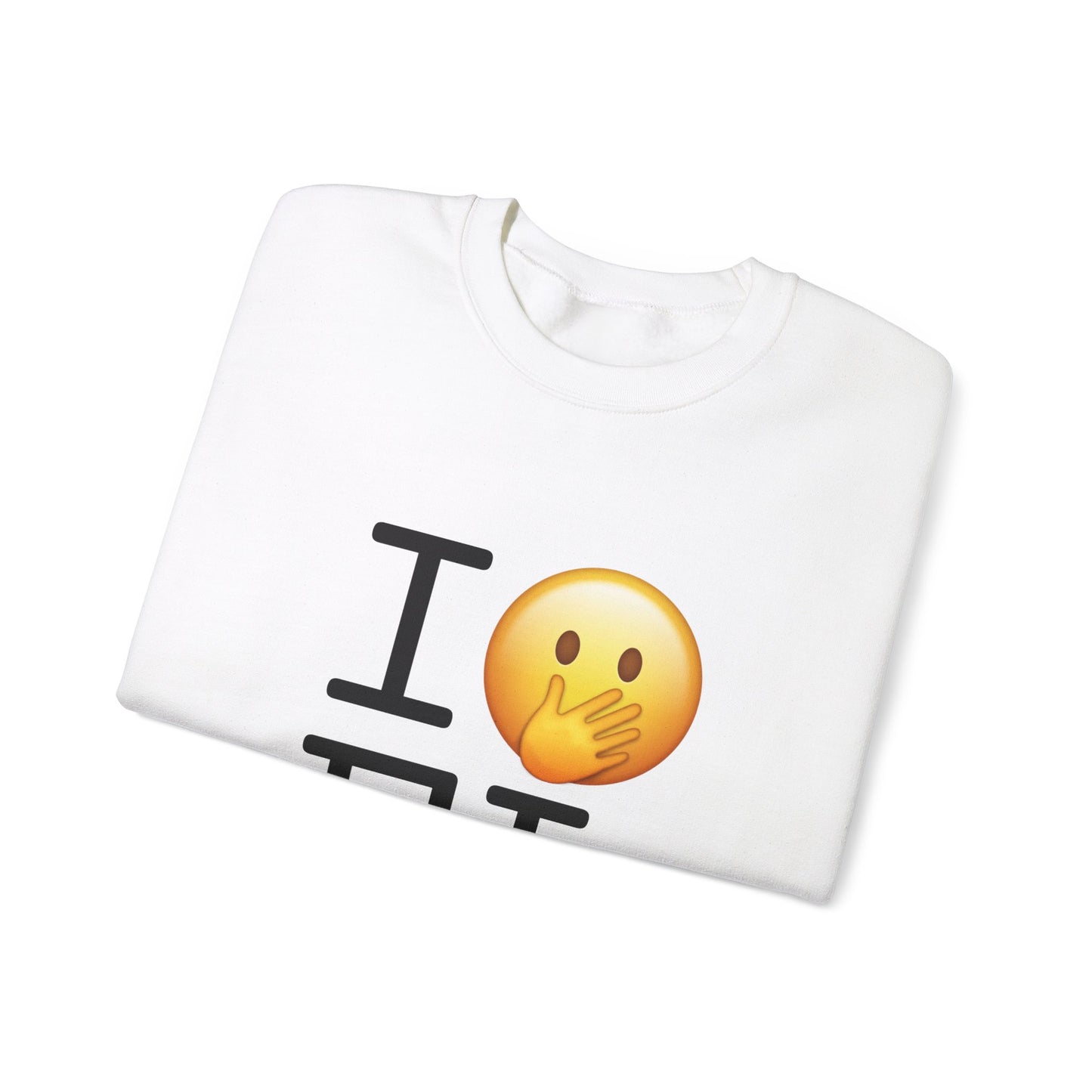 "I Messed Up (Oops) in Florida" Sweatshirt