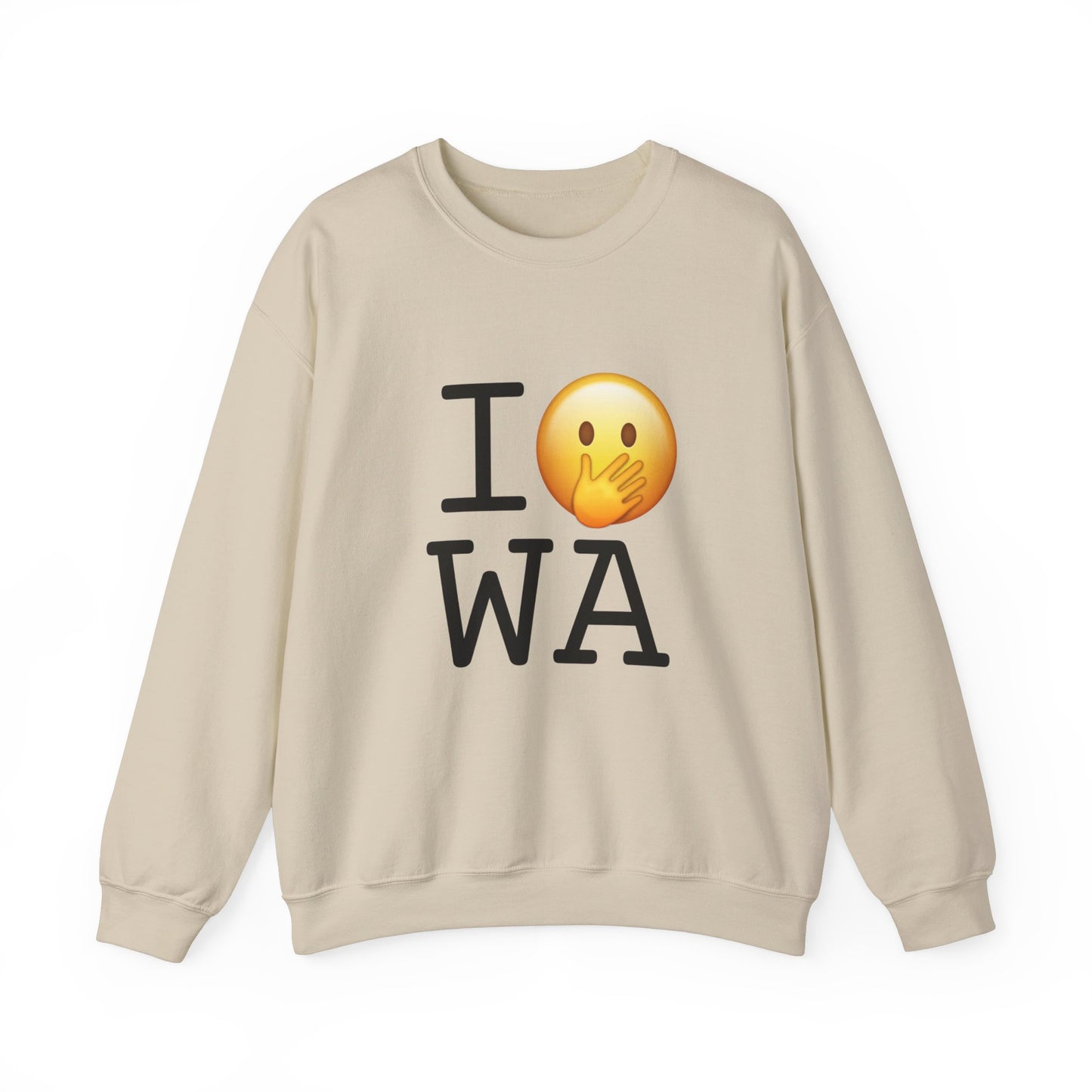 "I Messed Up (Oops) in Washington" Sweatshirt