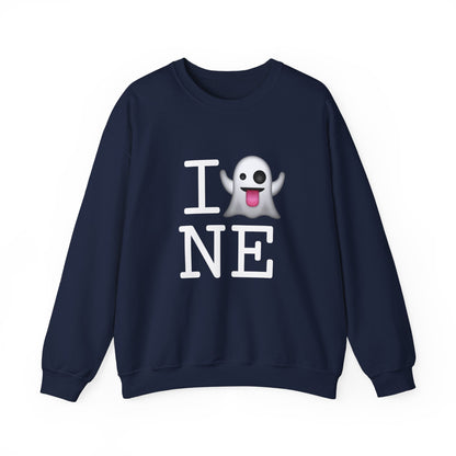 "I'm Ghosting Nebraska" Sweatshirt