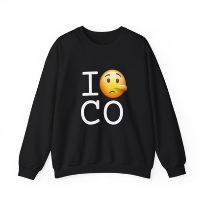 "I Lie about Colorado" Sweatshirt
