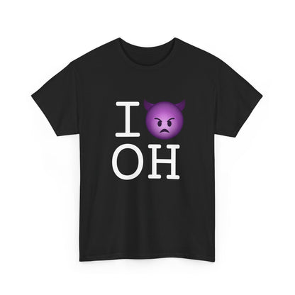 "I'm an Angry Devil about Ohio" Tee