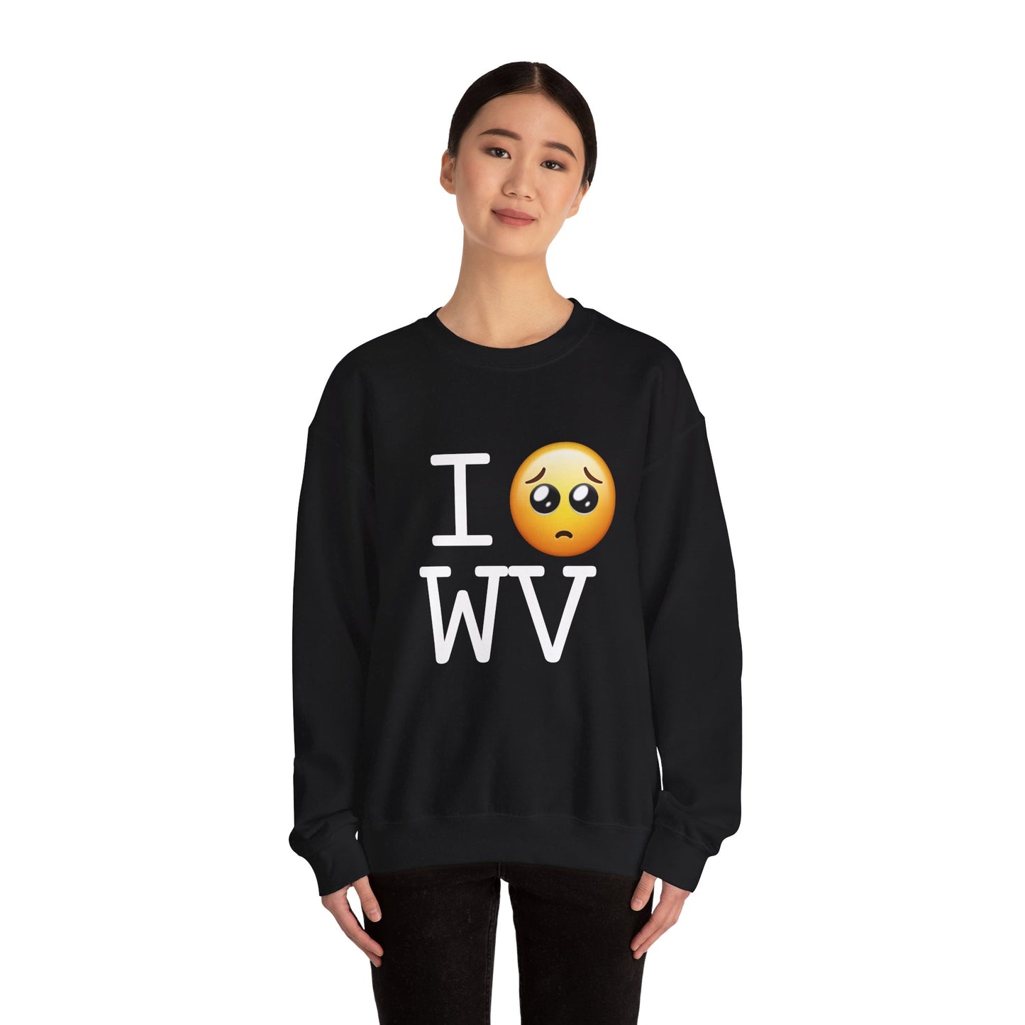 "I'm Begging about West Virginia" Sweatshirt