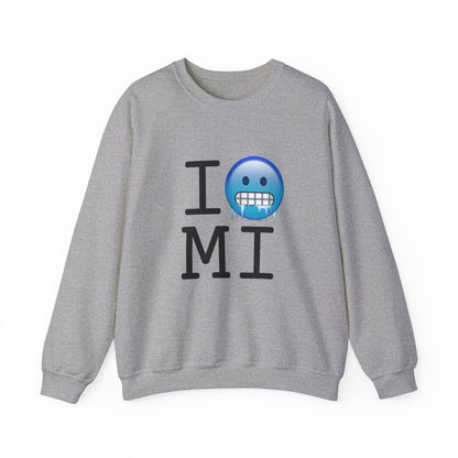 "I'm Cold in Michigan" Sweatshirt