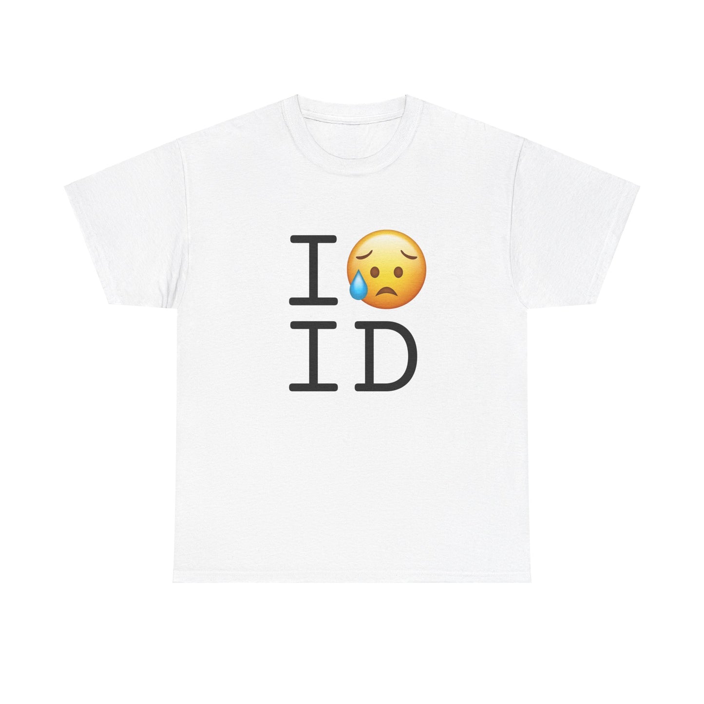 "I'm Sad About Idaho" Tee