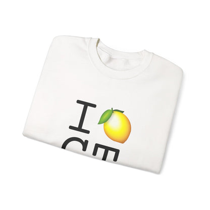"I Lemon Connecticut" Sweatshirt