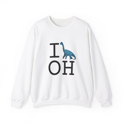 "I'm a Dinosaur in Ohio" Sweatshirt
