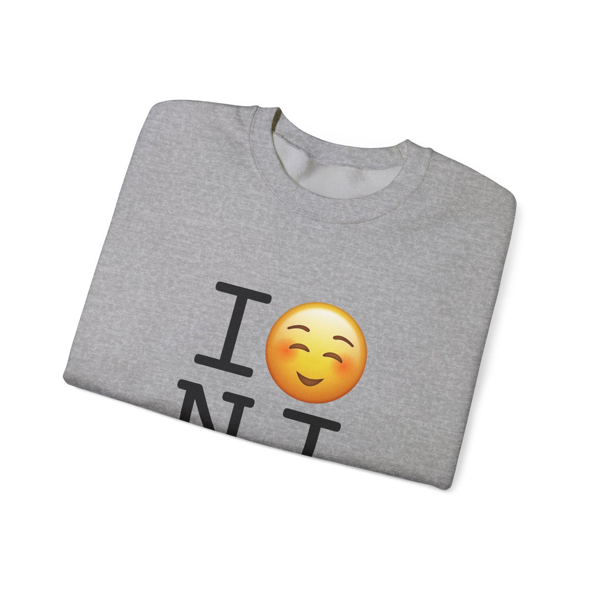 "I Blush at New Jersey" Sweatshirt