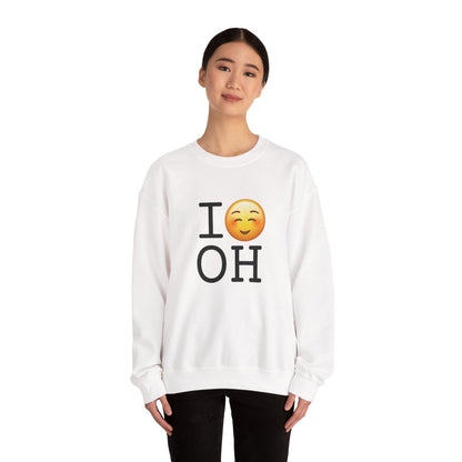 "I Blush at Ohio" Sweatshirt