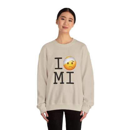 "I'm Hurt in Michigan" Sweatshirt