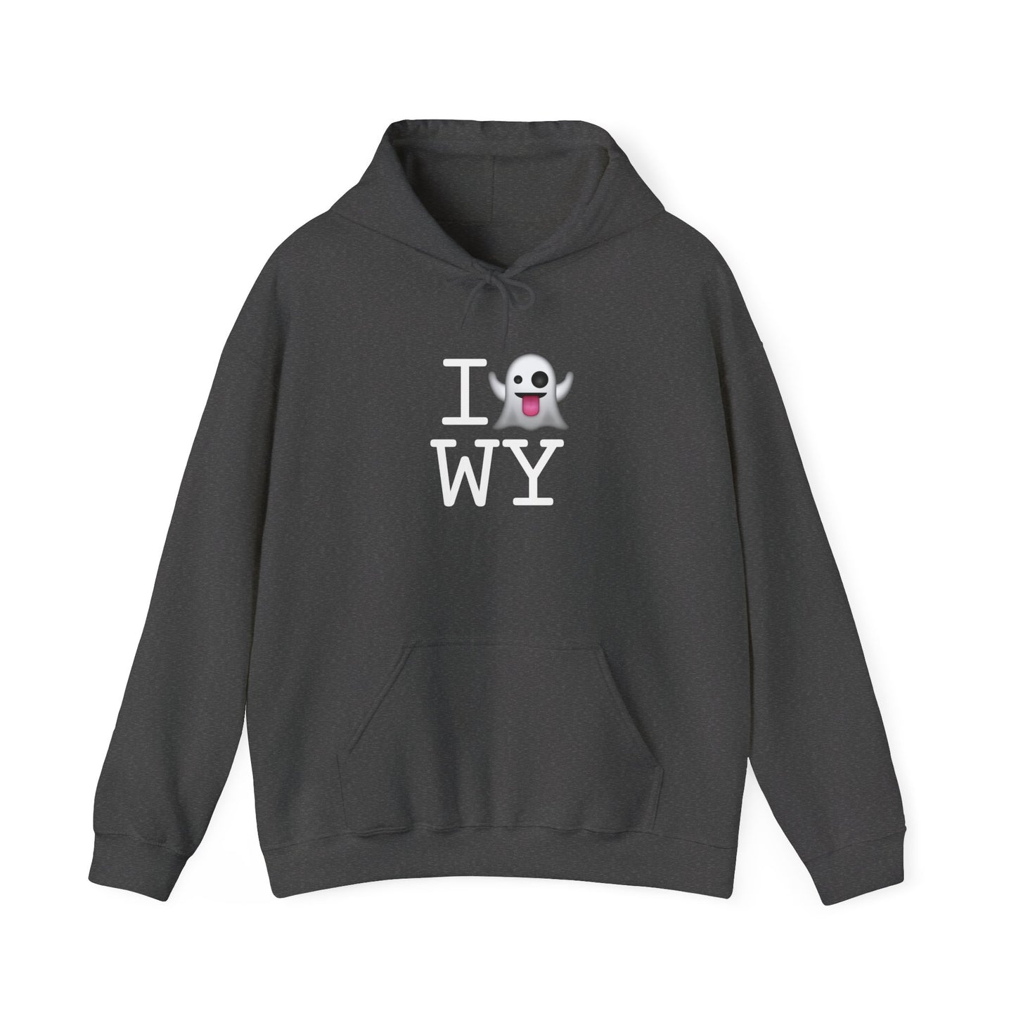 "I'm Ghosting Wyoming" Hoodie