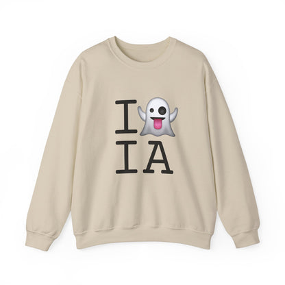 "I'm Ghosting Iowa" Sweatshirt