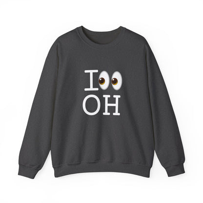 "I Look at Ohio" Sweatshirt