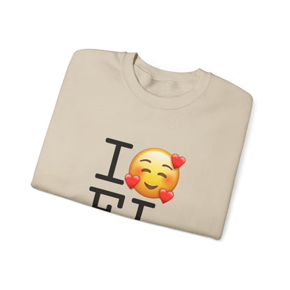 "I Adore Florida" Sweatshirt