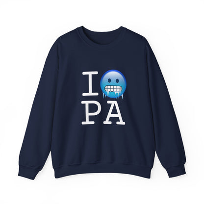 "I'm Cold in Pennsylvania" Sweatshirt