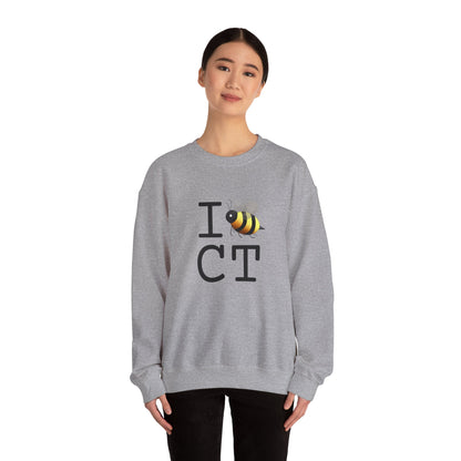 "I Bee in Connecticut" Sweatshirt