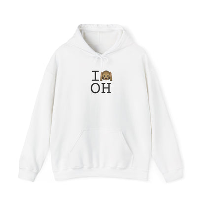 "I Don't Hear Ohio" Hoodie