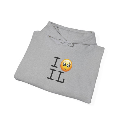 "I'm Begging about Illinois" Hoodie